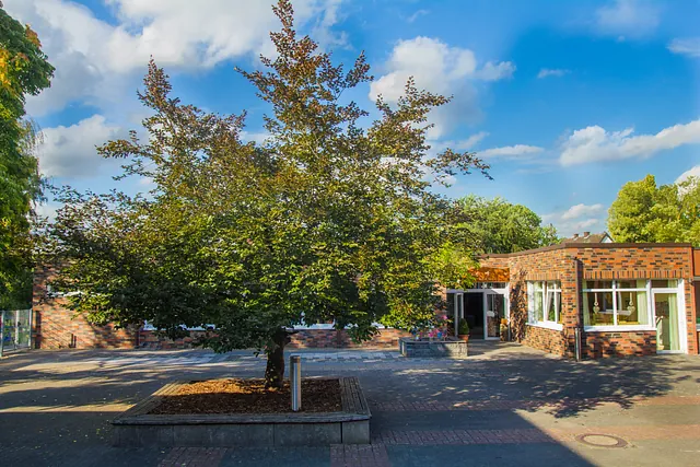 Blick auf den Baum vor dem St. Stephanus Kindergarten